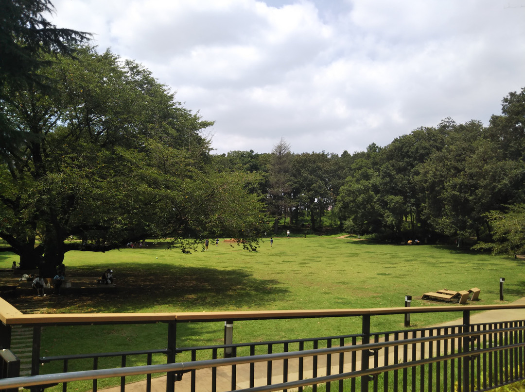 Tsuruma Park景点图片