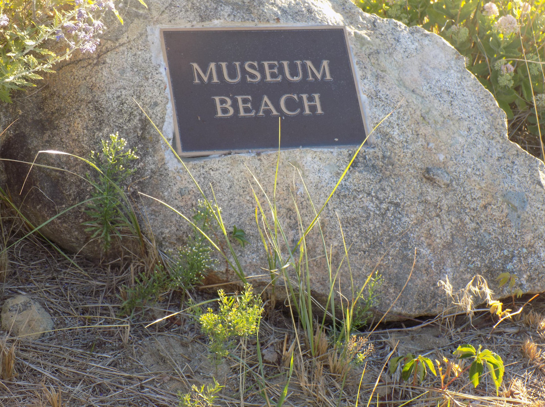 Museum Beach景点图片