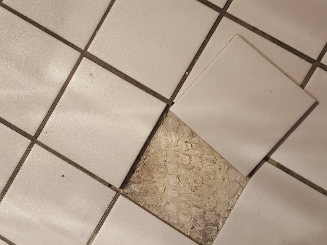 Brit Hotel Auclair De Guéret主图