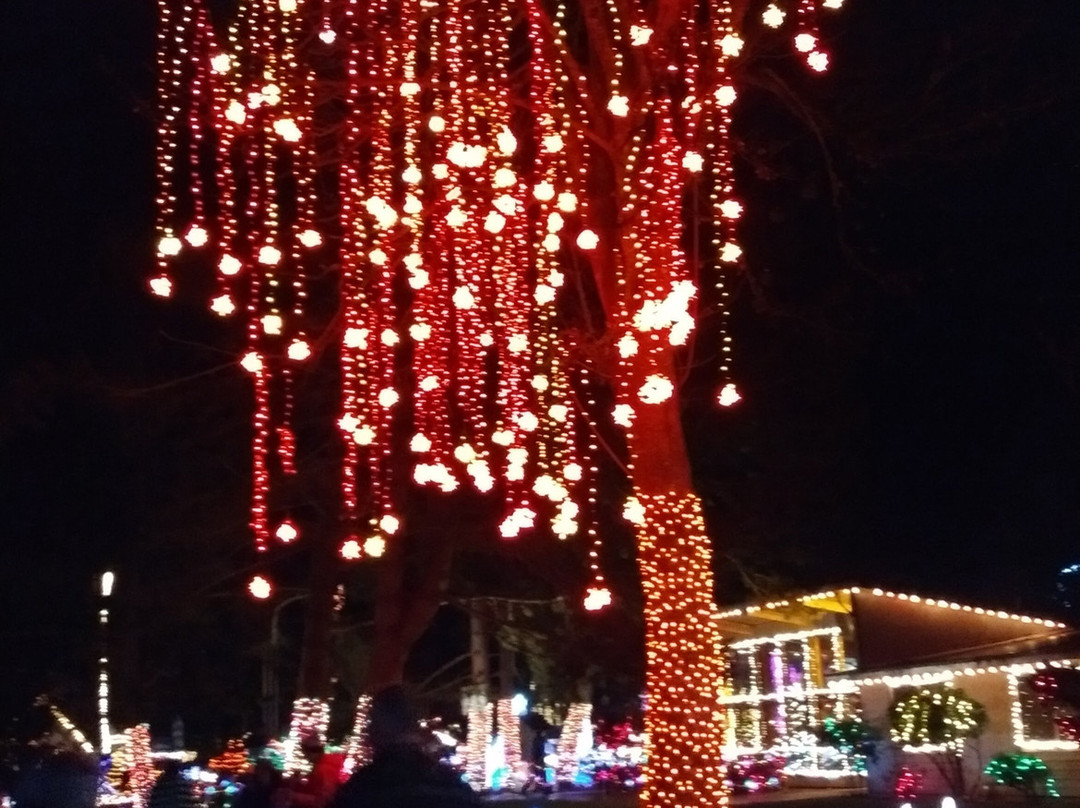 The Lights of Christmas-Stanwood必去景点