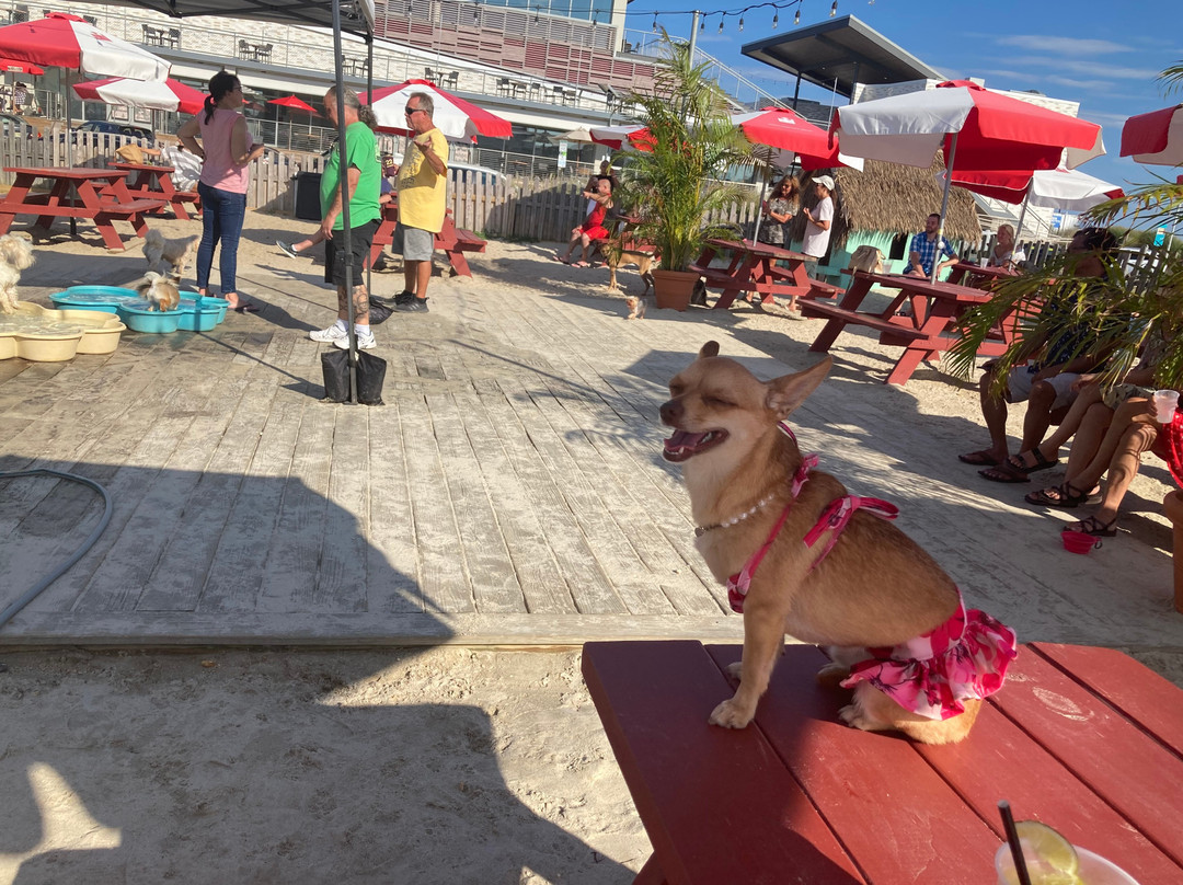 Wonder Bar-阿斯伯里帕克必去景点