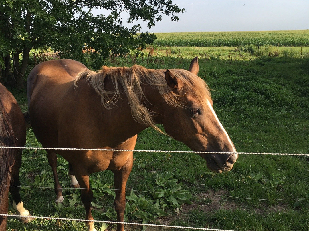 So Dear To My Heart Bed and Breakfast主图