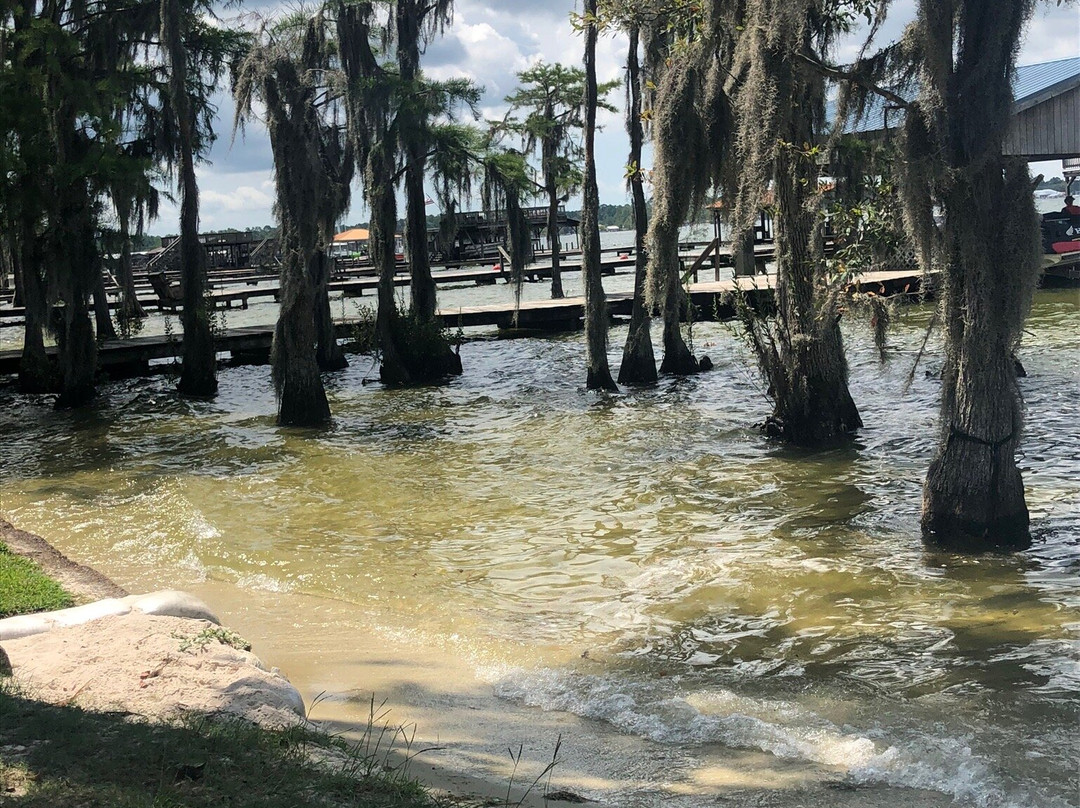 Silver Sands Motel and Apartments主图