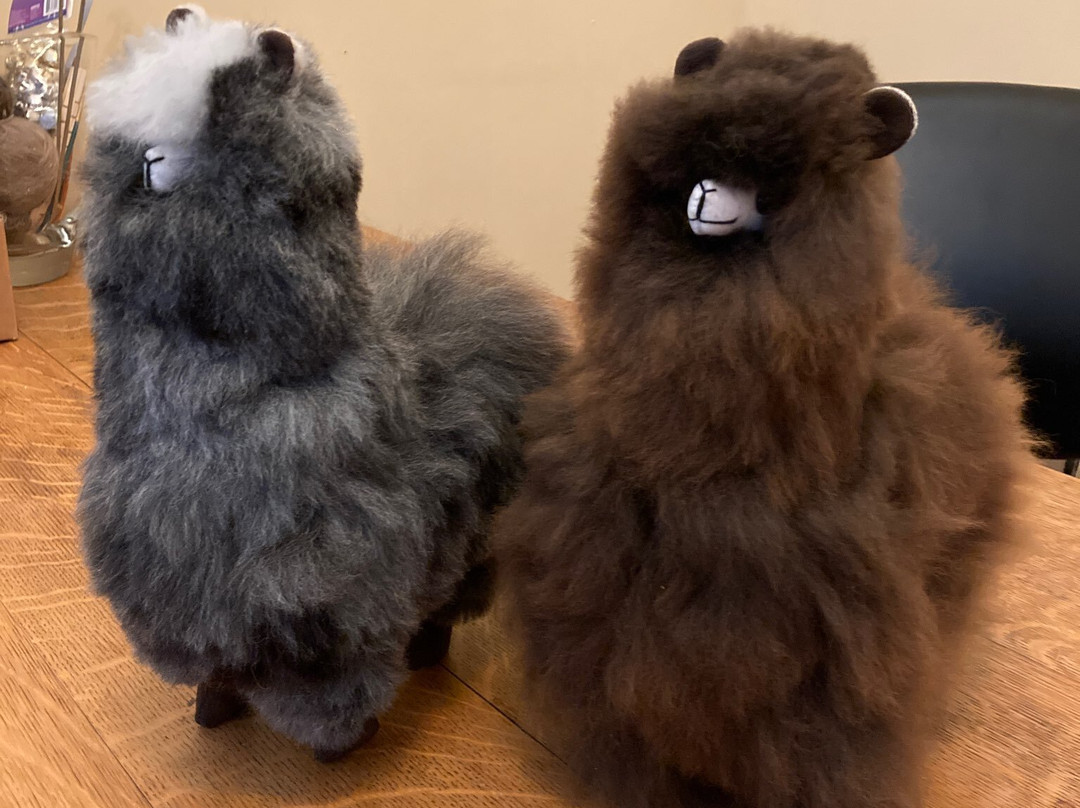 Living The Dream Alpaca Farm-Quechee必去景点