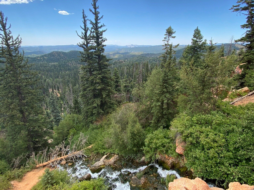 Cascade Falls Trail-锡达城必去景点