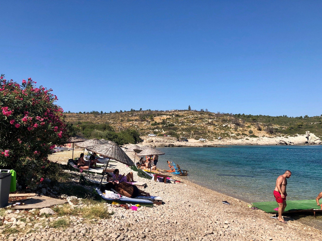 Deniz Yildizi Beach & Club景点图片