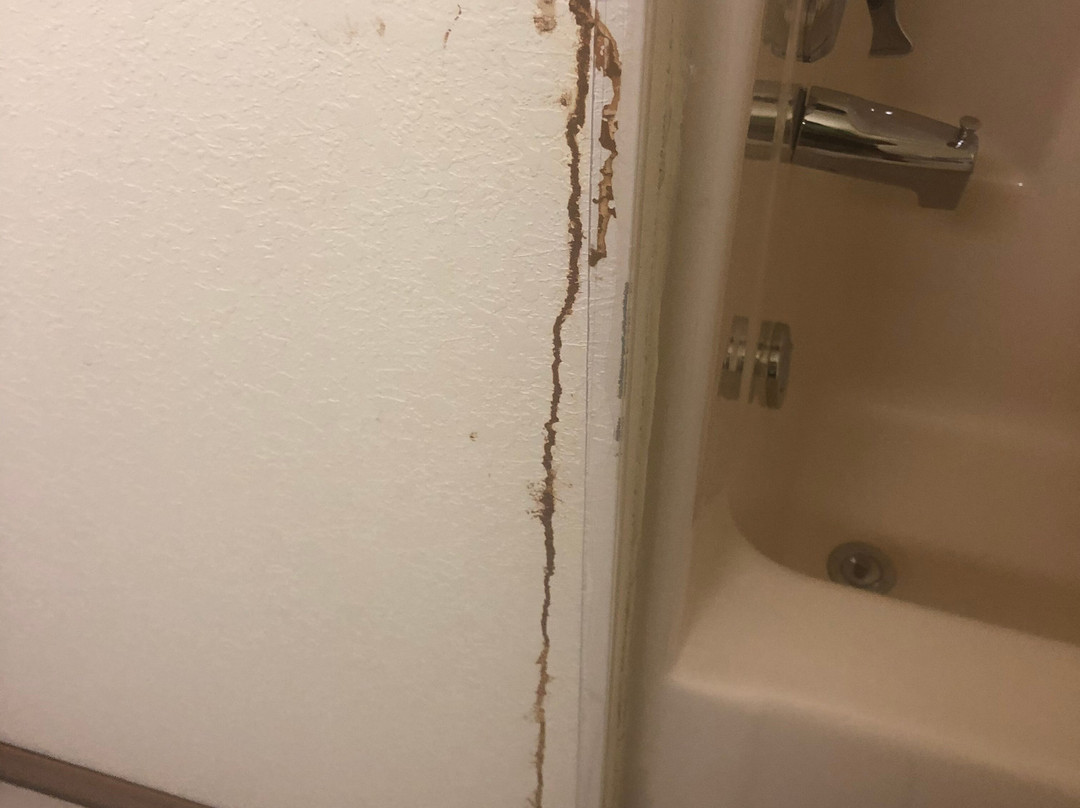 Super 8 by Wyndham Escanaba主图