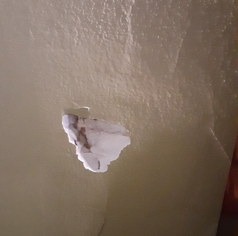 Wingate by Wyndham Ridgeland主图