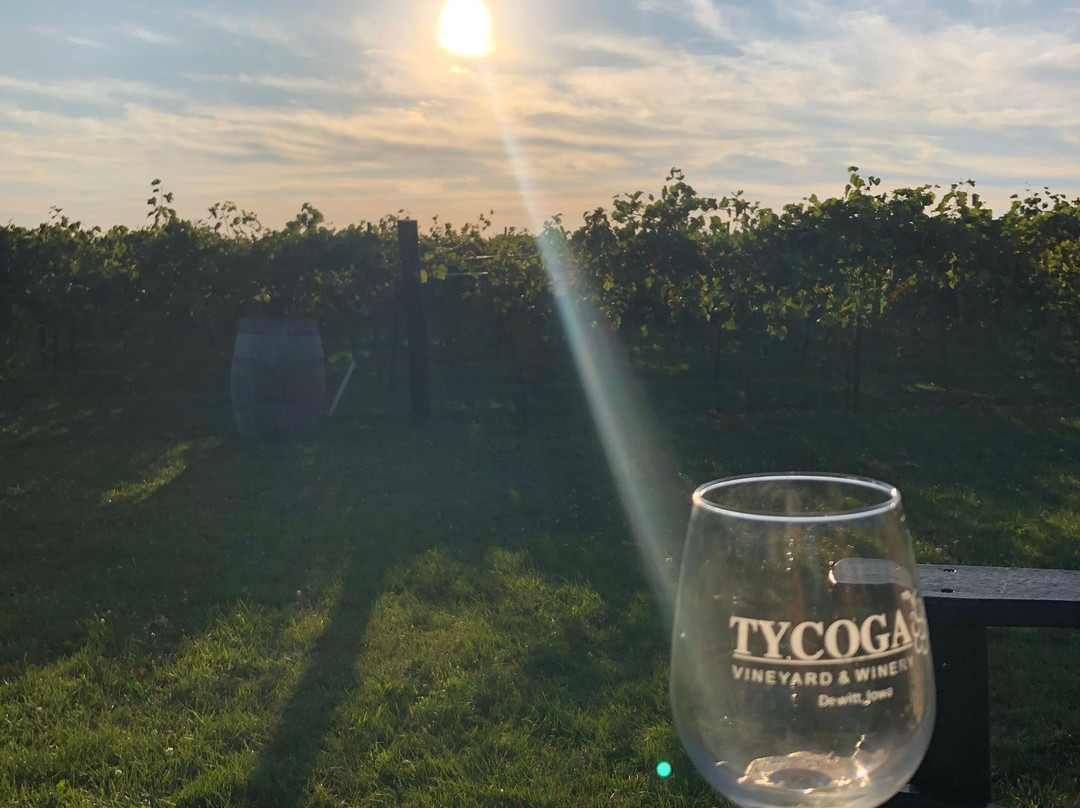TYCOGA Winery & Distillery景点图片
