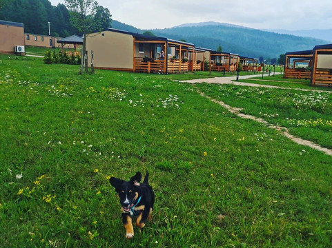 Donji Babin Potok旅游攻略图片