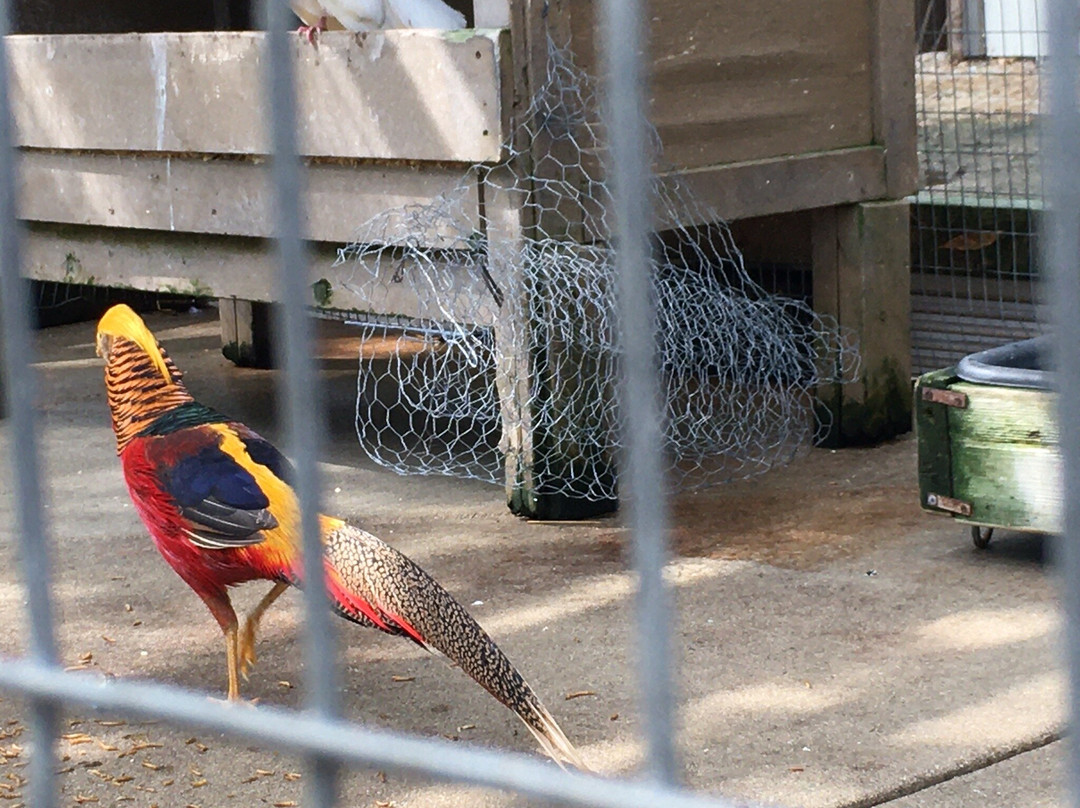 Linton's Enchanted Gardens-埃尔克哈特必去景点