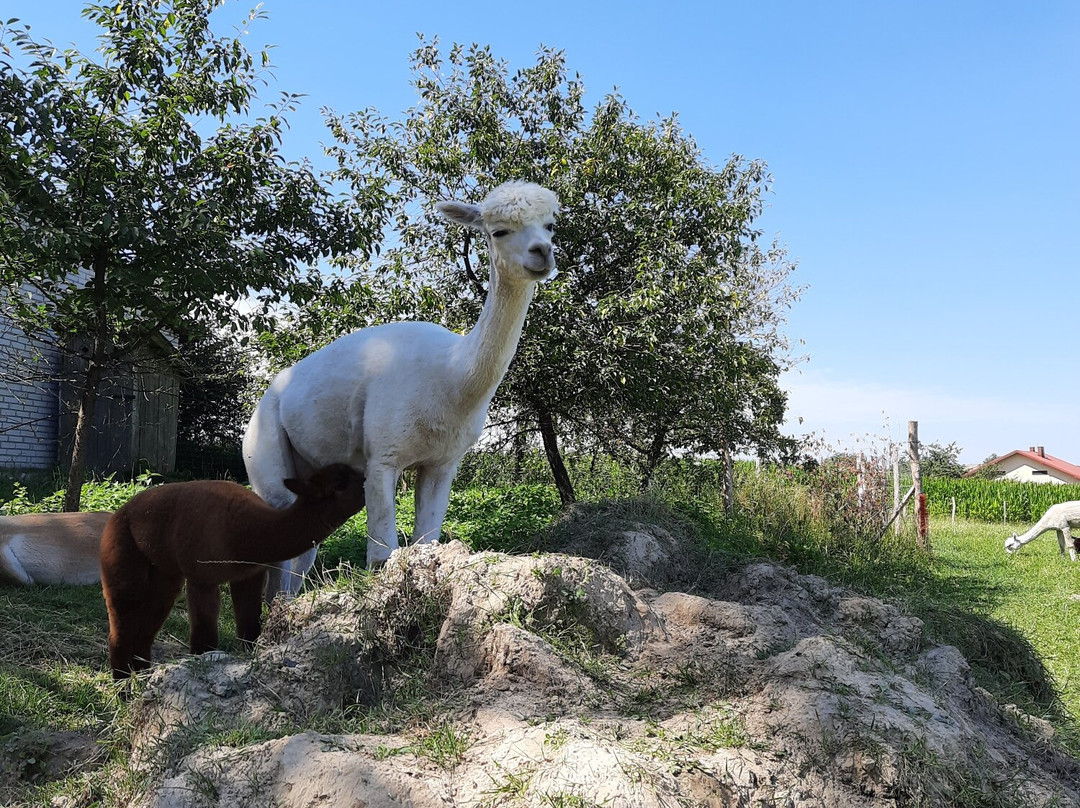 Zaburze旅游攻略图片