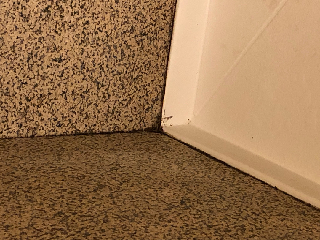 Spark by Hilton Washington Meadowlands Blvd主图