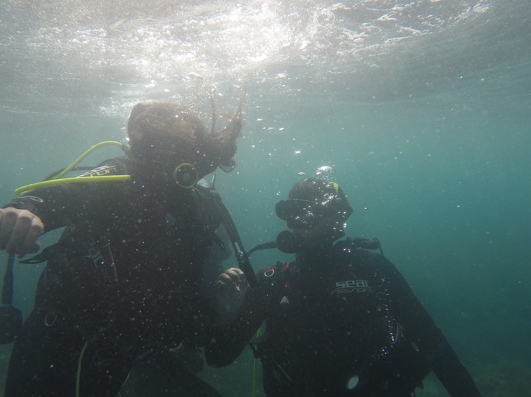 Moroccan Diving Center景点图片