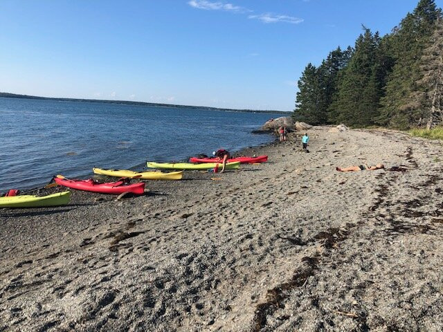 Maine State: Sea Kayak & E-bike景点图片