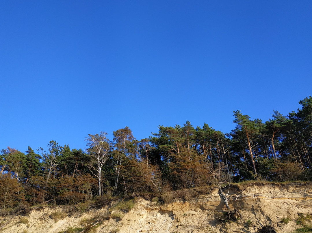 Wolin National Park-缅济兹德罗耶必去景点