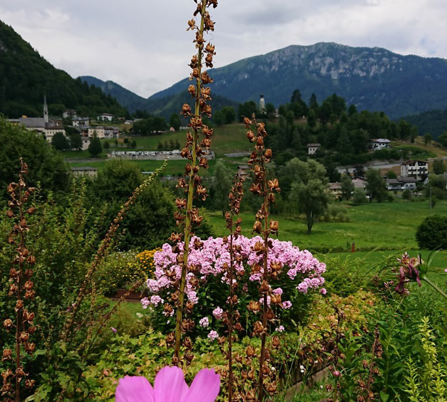 Arboreto del Tesino-Pieve Tesino必去景点