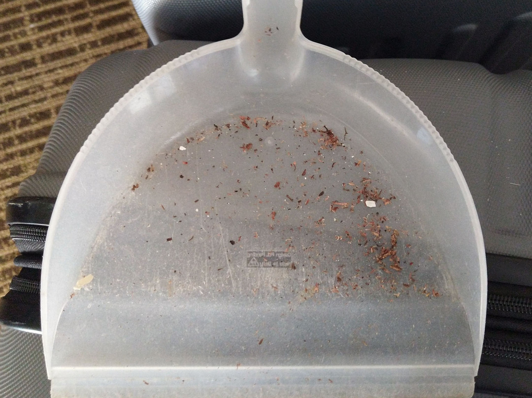 Baymont by Wyndham Elkhart主图