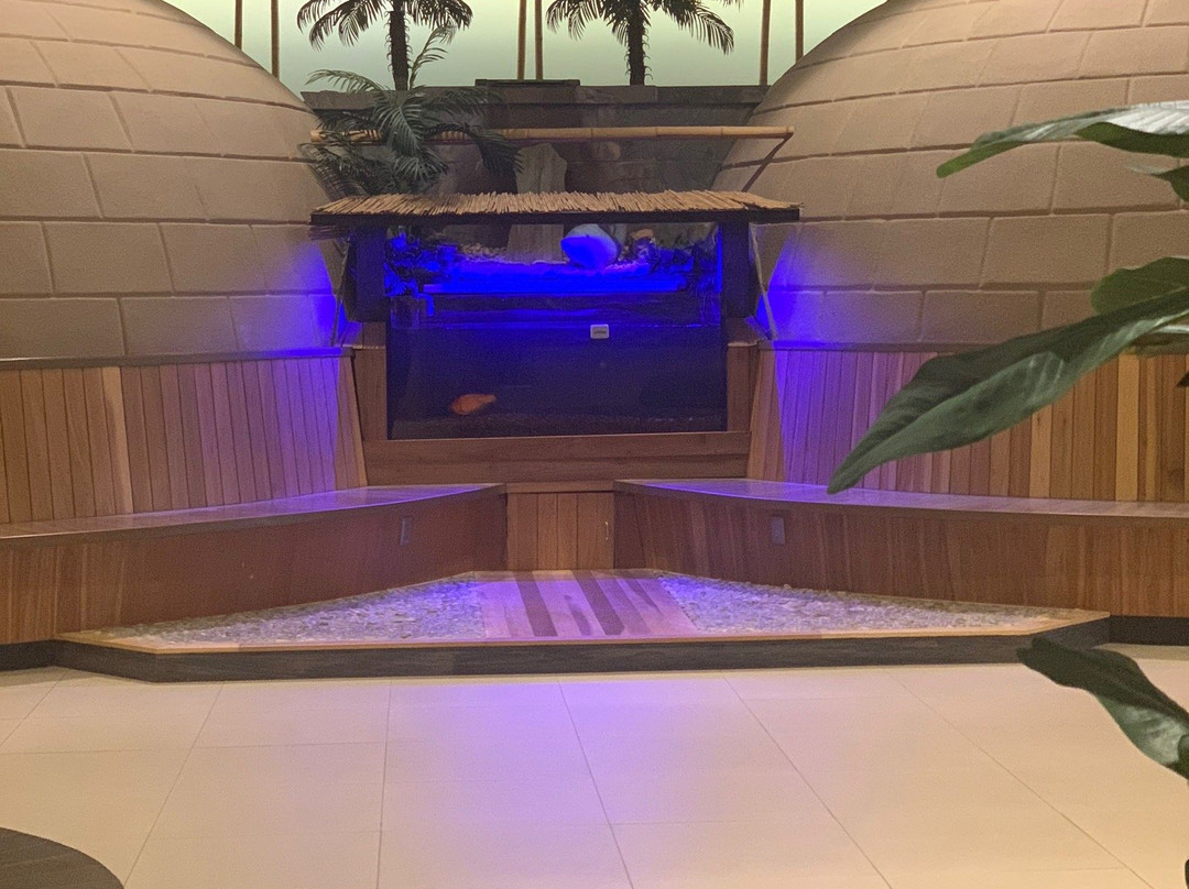Island Spa & Sauna景点图片