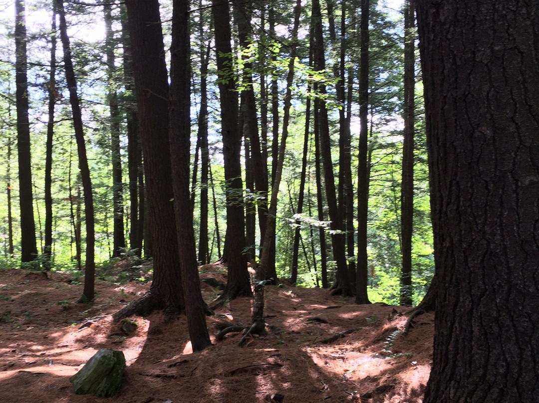 le Parc Historique de la Poudriere de Windsor-Windsor必去景点