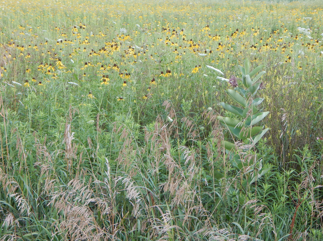 Prairie Edge Nature Park景点图片