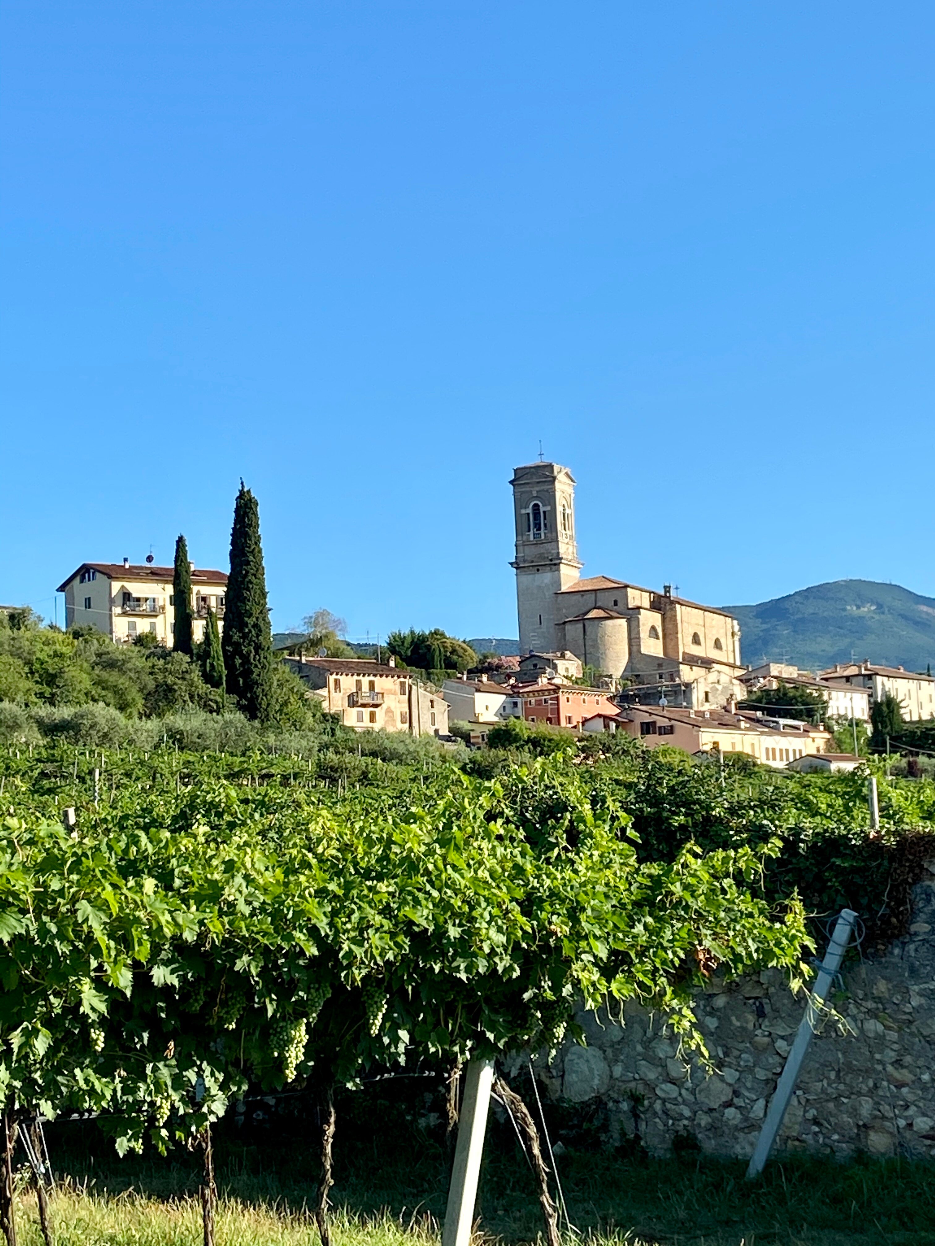 Agriturismo El Crear-酒店景观