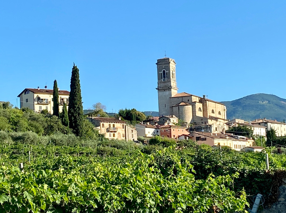 Agriturismo El Crear主图