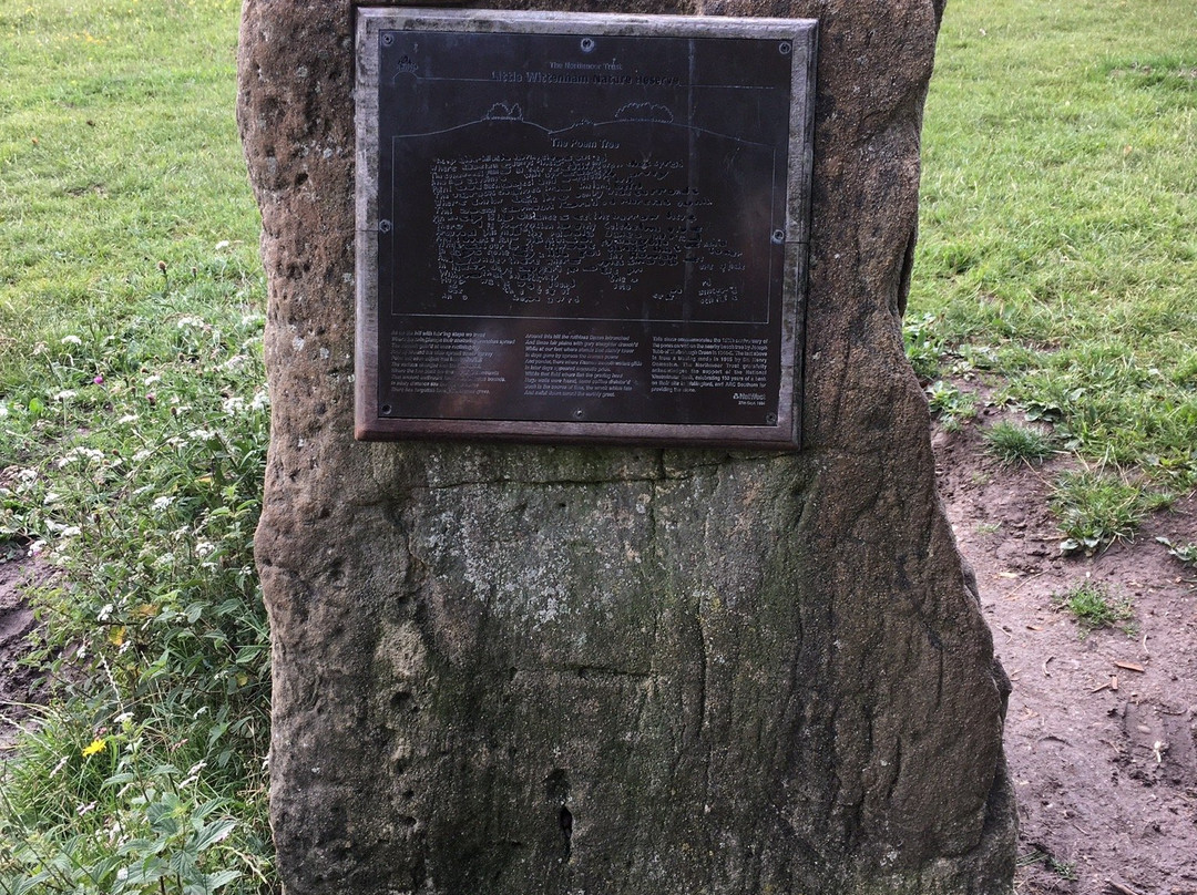Wittenham Clumps-Little Wittenham必去景点