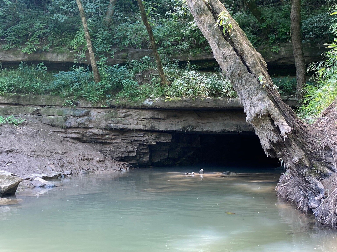 Mammoth Cave Canoe & Kayak景点图片