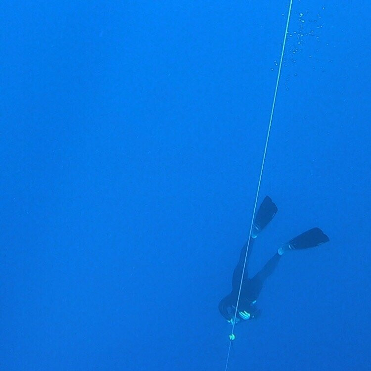 Apnea Canarias Freediving Center-圣克鲁斯-德特内里费必去景点