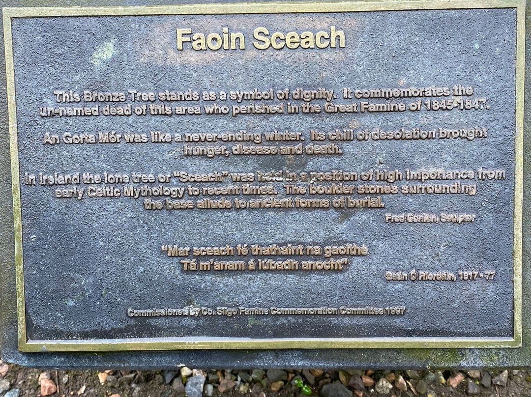 Famine Graveyard Sligo-斯莱戈必去景点