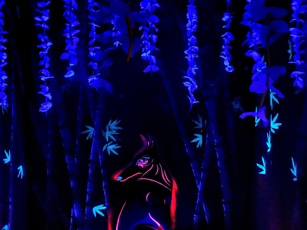 Shiki Dreams By Prismajic-莱克伍德必去景点