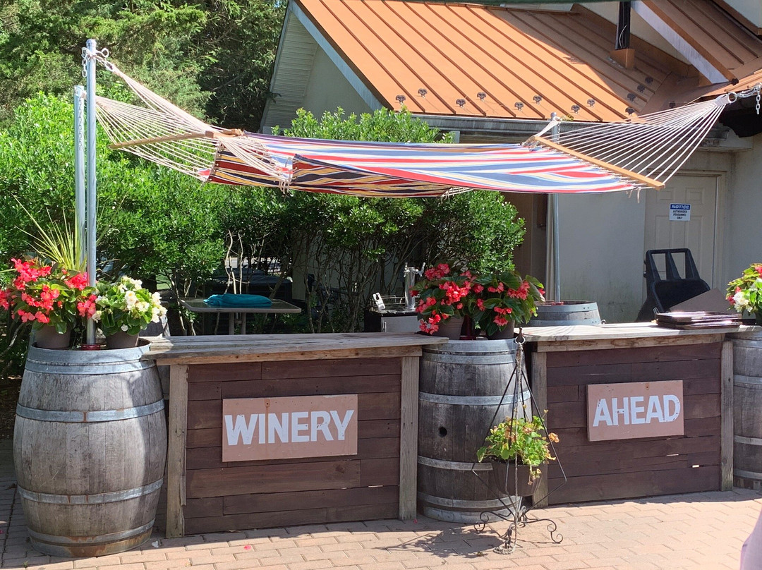 Osprey's Dominion Vineyards-Peconic必去景点