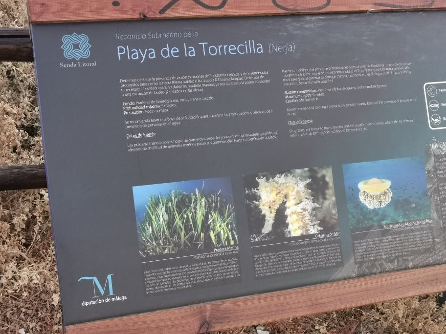 Playa Torrecilla景点图片