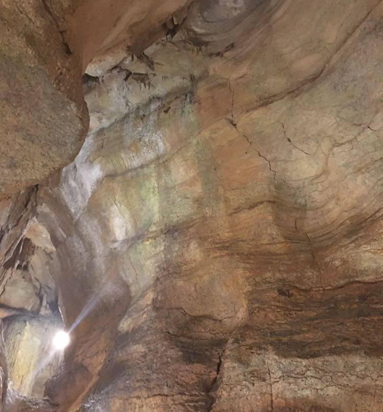 Rickwood Caverns State Park景点图片
