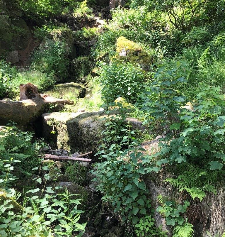 Blauenthaler Wasserfall-Eibenstock必去景点