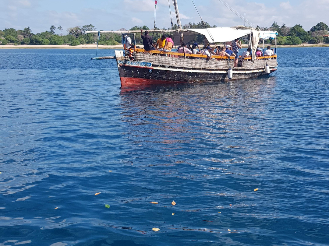 Kisite-Mpunguti Marine National Park and Reserve景点图片
