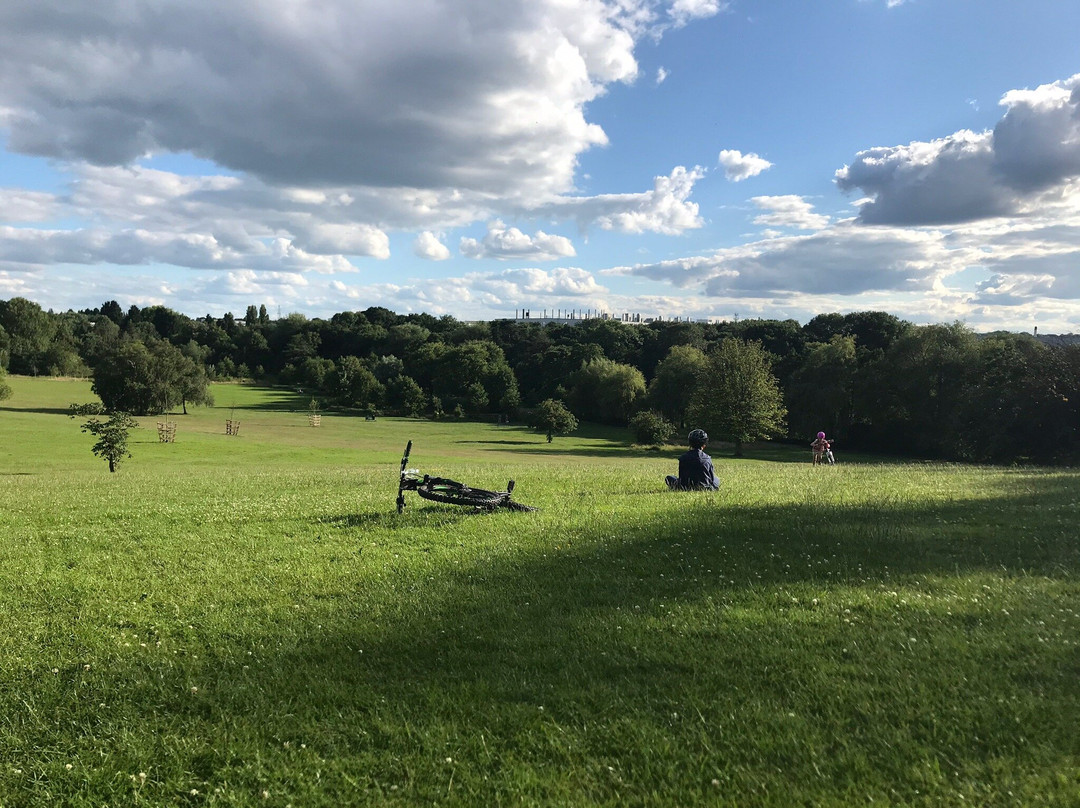 Elmdon Park-索利哈尔必去景点