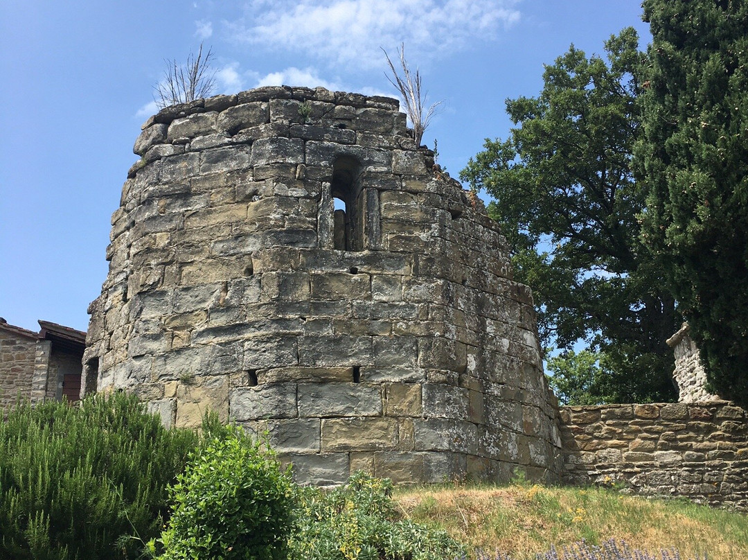 Agriturismo Badia Ficarolo主图