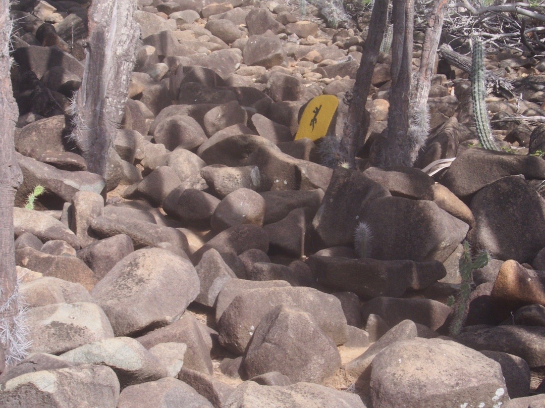 Kasikunda Climbing Trail-Washington-Slagbaai National Park必去景点