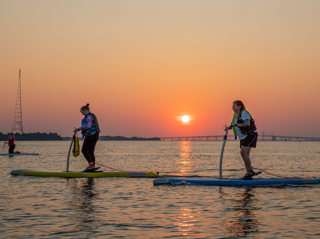 Capital SUP - Quiet Waters Park-安纳波利斯必去景点