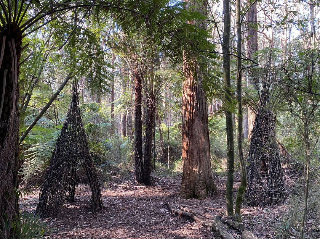 Toolangi Sculpture Trail景点图片