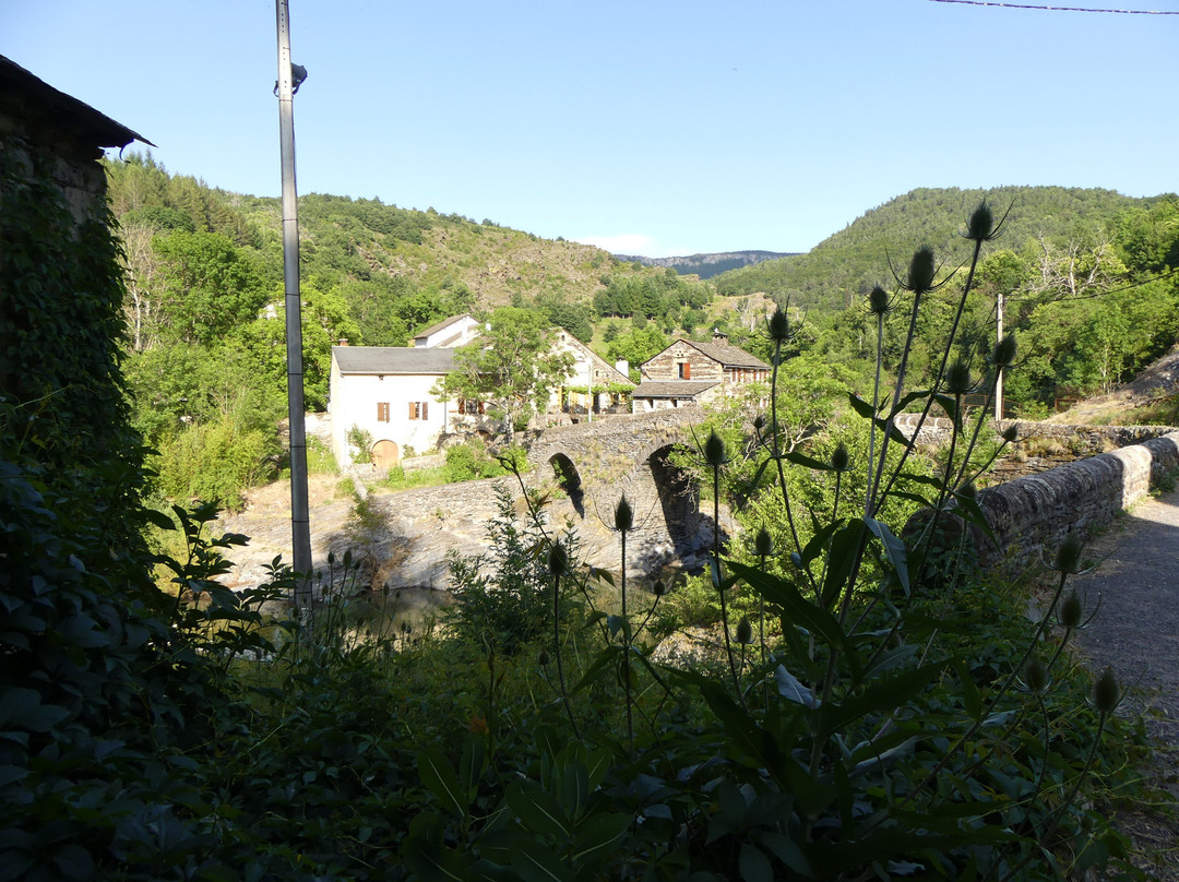 Auberge du Tarnon主图