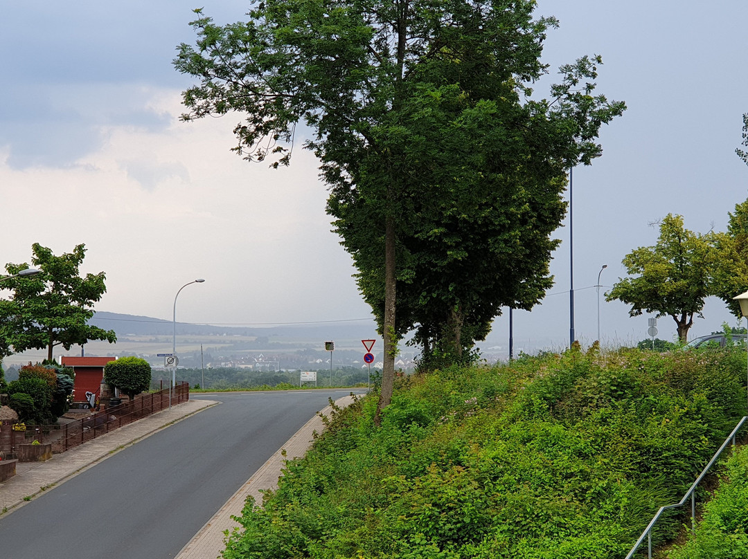 Waldhotel Eisenberg主图