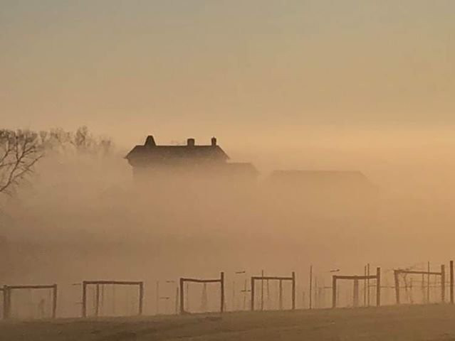 Buchanan House Winery-Tipton必去景点