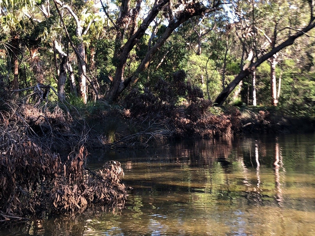 Bundeena Kayaks in Sydney-Bundeena必去景点