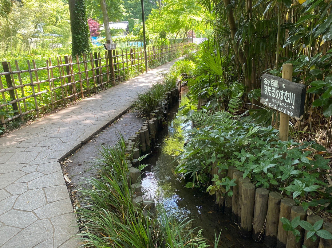 Masugata no Ike Group of Springs/Otaka no Michi-国分寺市必去景点