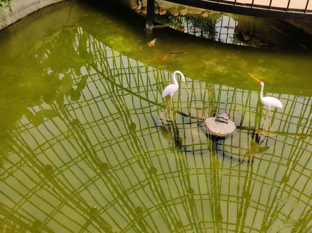 Butterfly Park-班加罗尔必去景点