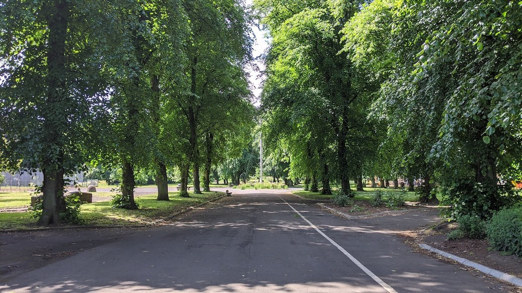 Robertson Park景点图片