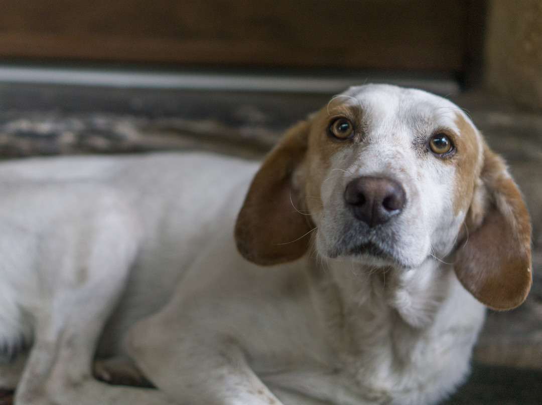 Casa do Conselheiro主图